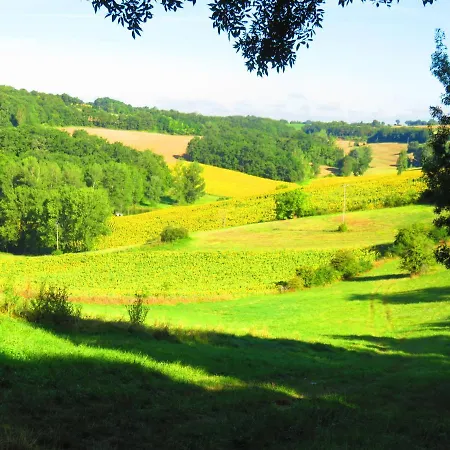 Le Domaine Du Chasselas La Grappe *